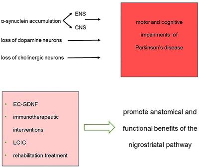 From the Gut to the Brain and Back: Therapeutic Approaches for the Treatment of Network Dysfunction in Parkinson's Disease